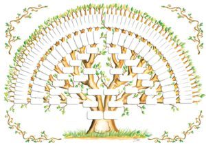 albero-genealogico