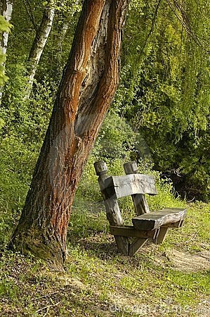 park-bench-192062